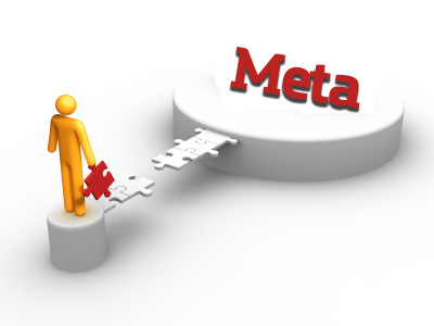 METAS INDIVIDUAIS E DO NEGÓCIO