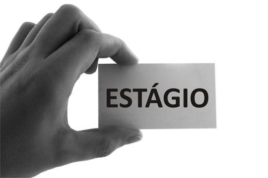 Excelentes Motivos para Contratar Estagiários 