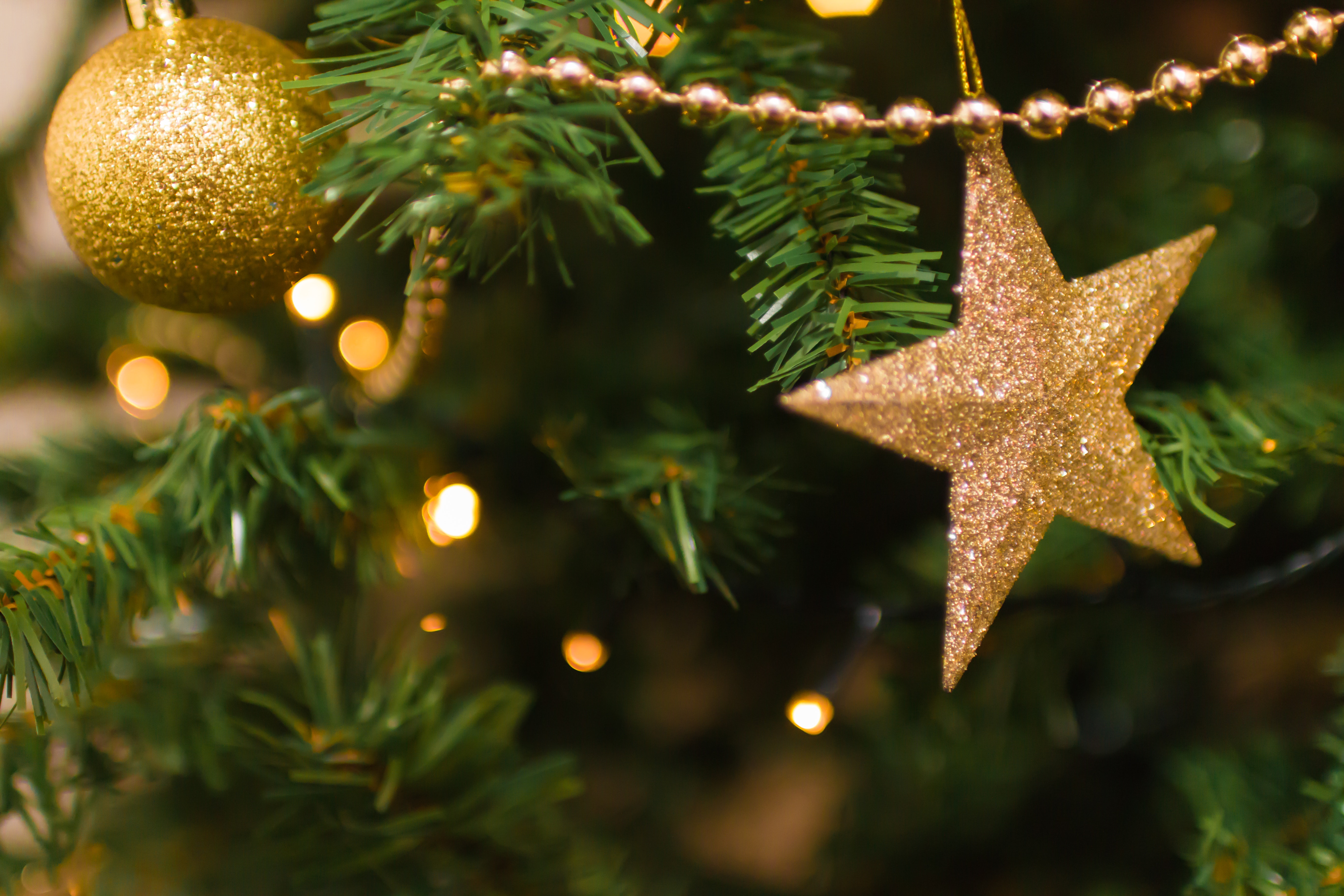 Surpreenda sua equipe neste Natal